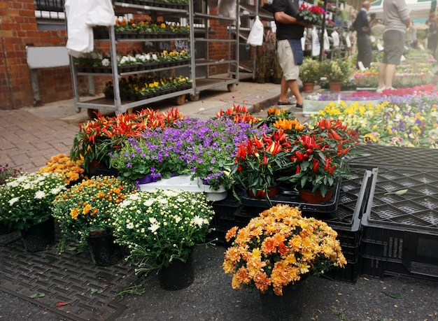 Цветочный уличный рынок