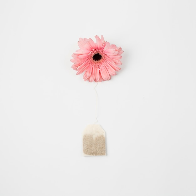 Flower and teabag