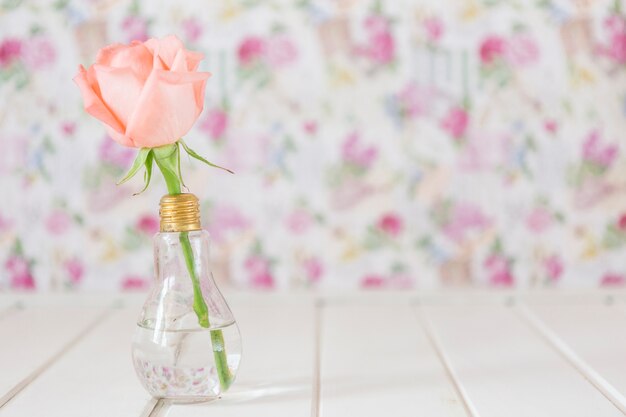 Flower in a vase with bulb-shaped