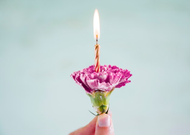 Flower with lit candle