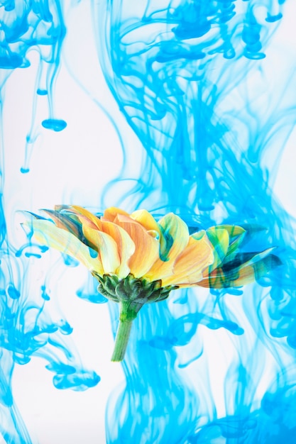 Free photo flower with psychedelic painting