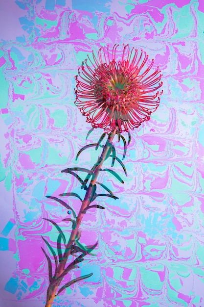Free photo flower with psychedelic painting