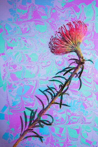 Flower with psychedelic painting