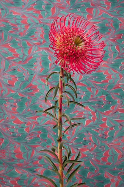 Free photo flower with psychedelic painting