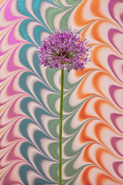Flower with psychedelic painting