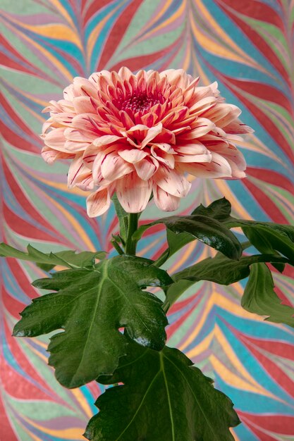 Flower with psychedelic painting