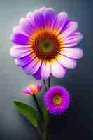 Free photo a flower with a purple background