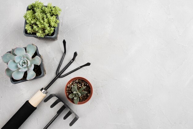 Flowerpots and gardening tools on white table