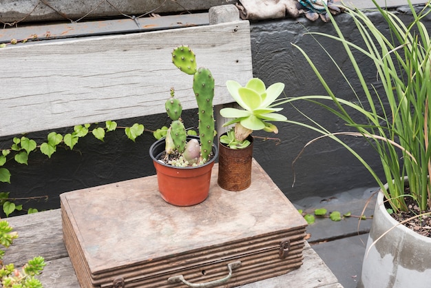 Flowerpots on old suitcase