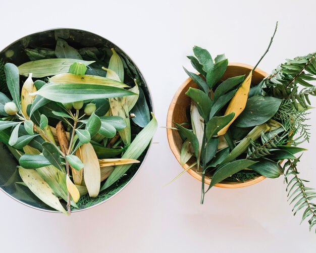 Flowerpots with green leaves