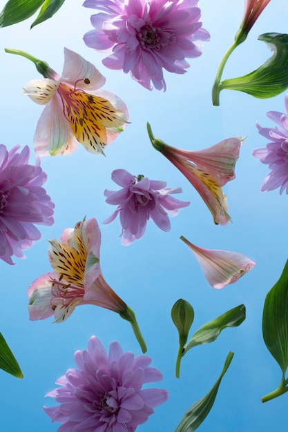 Flowers against the sky