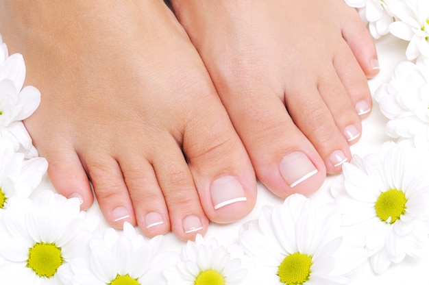 Free photo flowers around beautiful female feet with the french pedicure