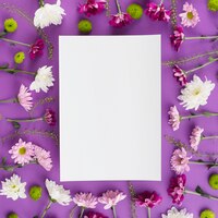 Free photo flowers background copy space