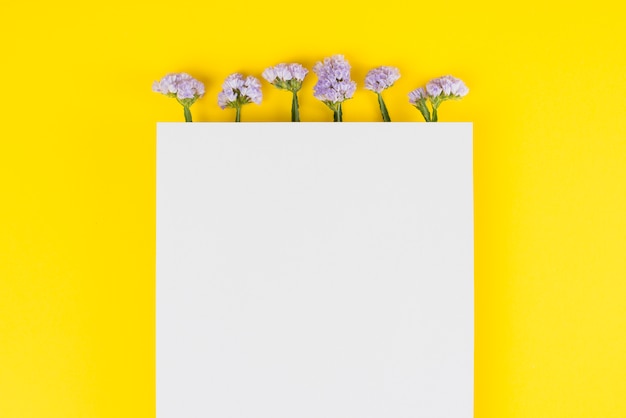 Flowers background copy space