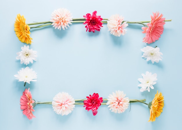 Free photo flowers background