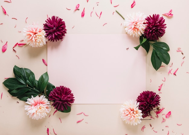 Free photo flowers background