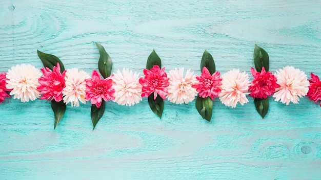 Free photo flowers background