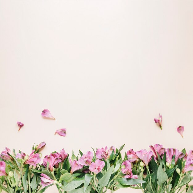 Flowers background