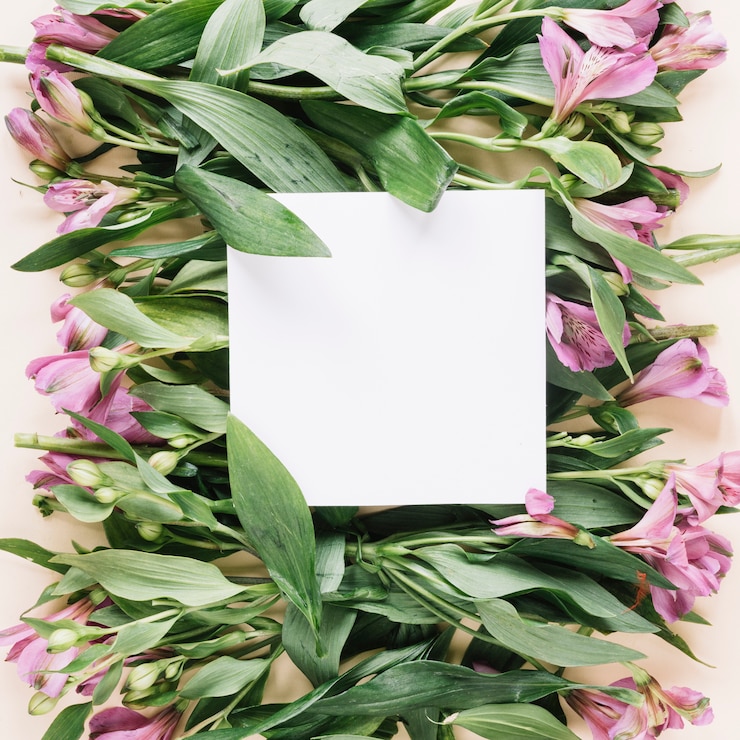 Free Photo flowers background