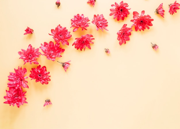 Flowers background