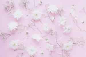 Free photo flowers background