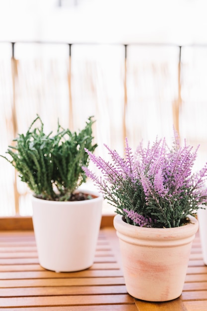 Free photo flowers in a balcony