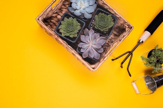 Flowers basket with metal gardening fork