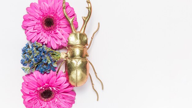 Flowers and beetle