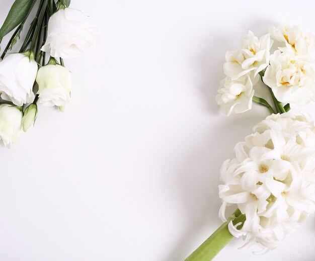 흰색 배경에 꽃 꽃다발