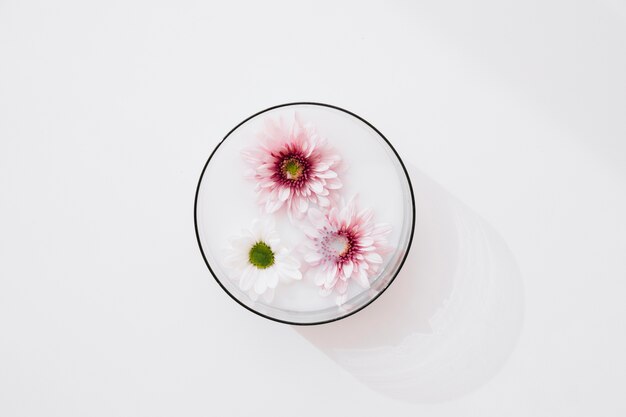 Flowers in bowl