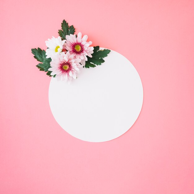 Flowers on circular paper