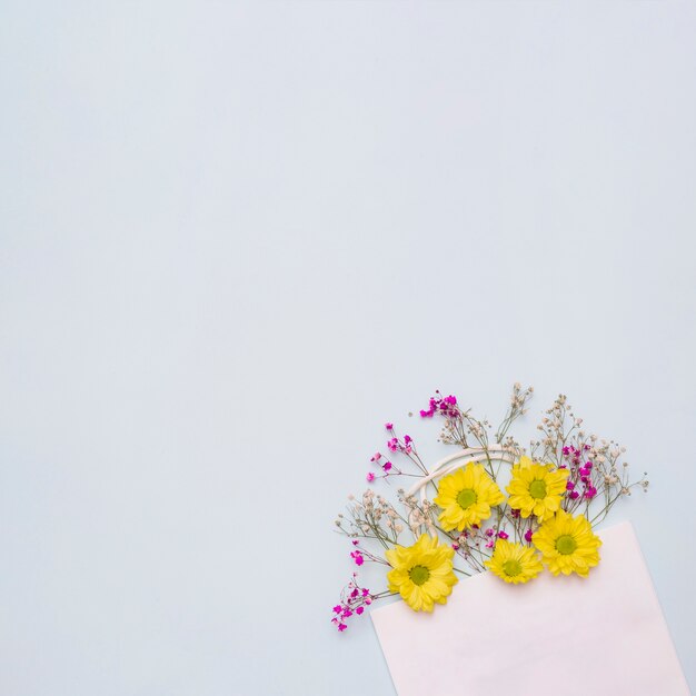 Flowers coming out from the pink paper bag against white background