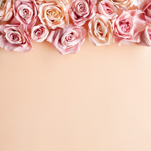 花の組成パステル調のピンクの背景にピンクのバラの花。フラットレイアウト、上面図、コピースペース