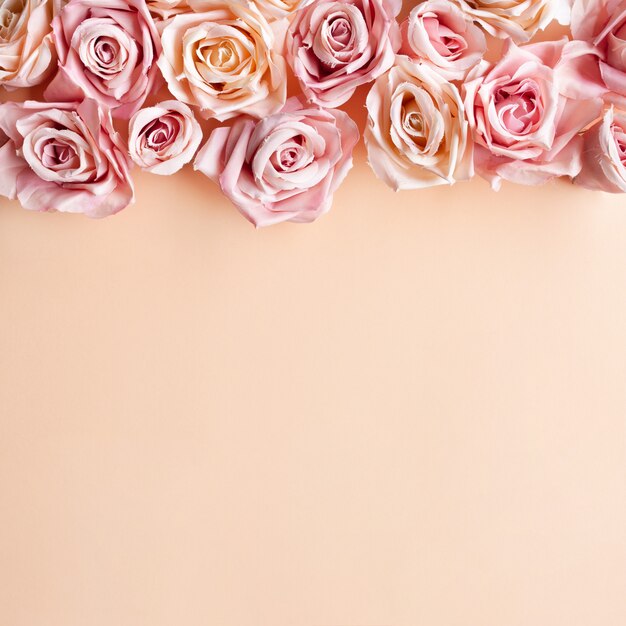 花の組成パステル調のピンクの背景にピンクのバラの花。フラットレイアウト、上面図、コピースペース