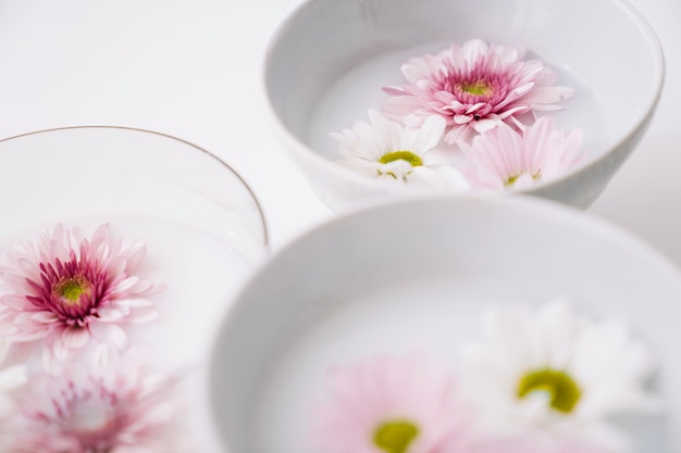 Free photo flowers floating in bowls