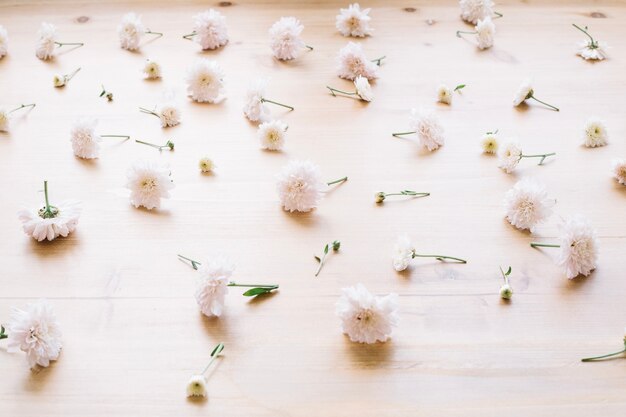 Flowers on floor