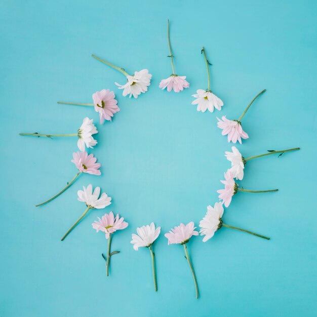 Flowers forming circle on blue background