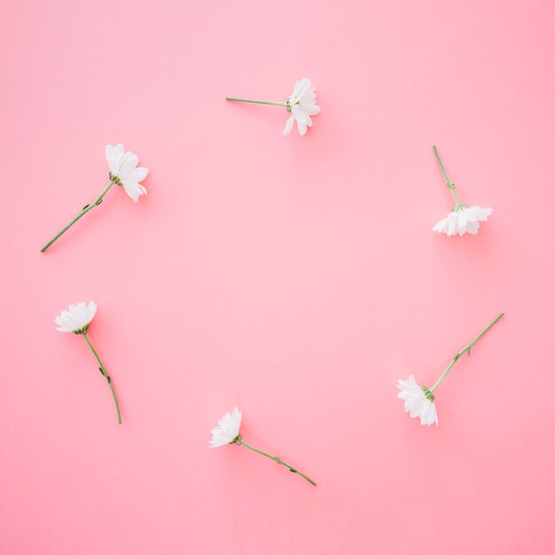 Flowers forming circle