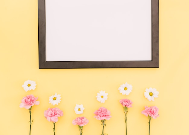 Flowers and a frame