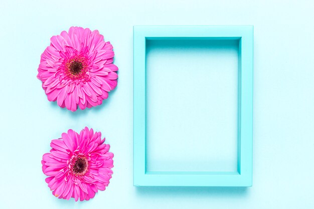 Flowers and frame