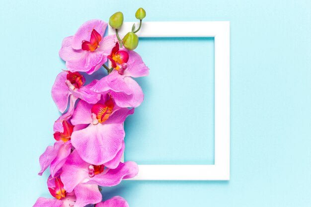 Flowers and frame