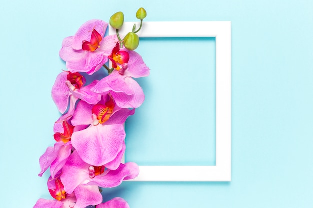 Flowers and frame