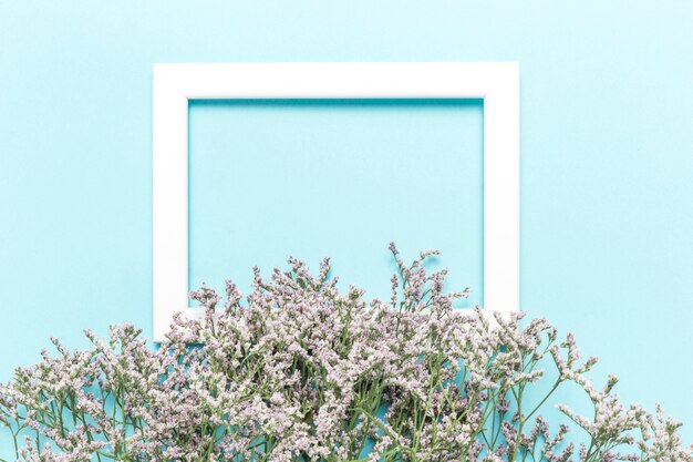 Flowers and frame