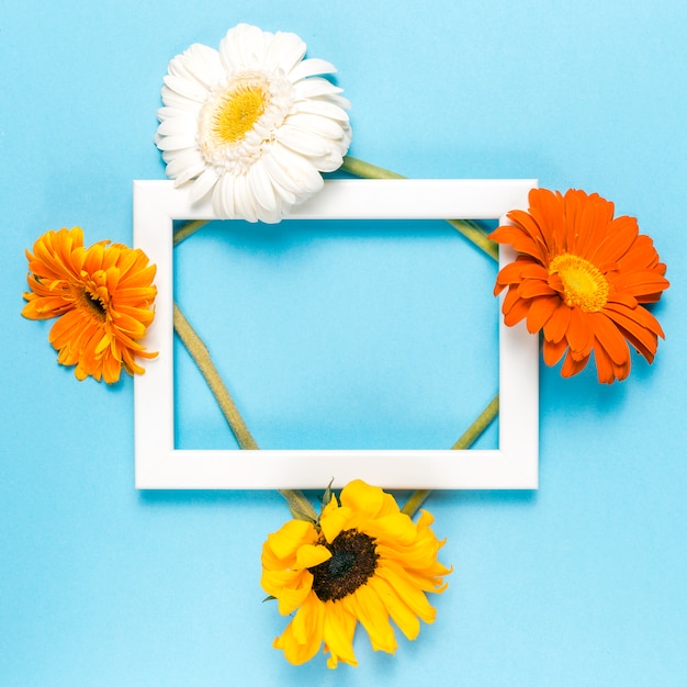 Flowers and frame