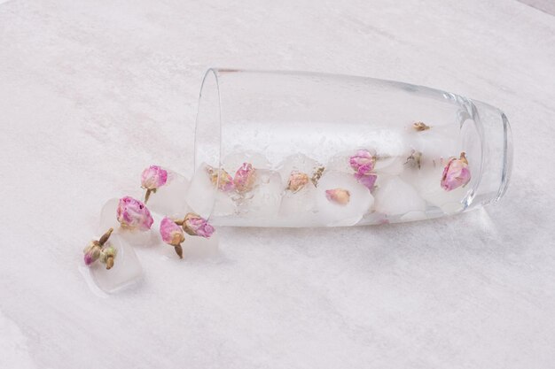 Flowers frozen in ice cubes on white surface.