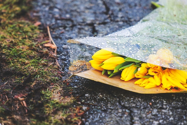 Free photo flowers on the ground