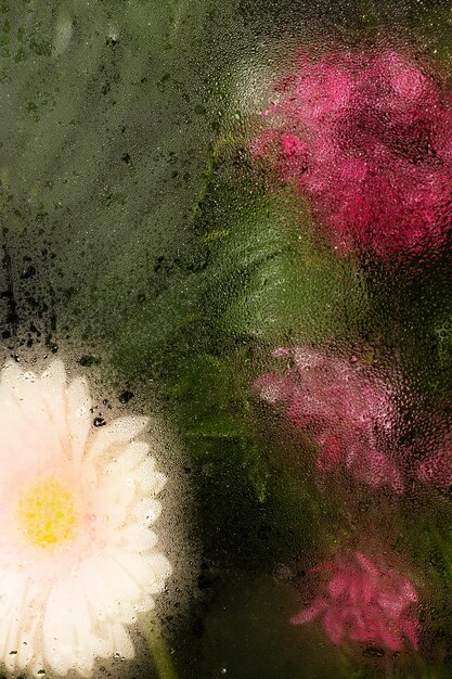 湿気ガラスの後ろの花