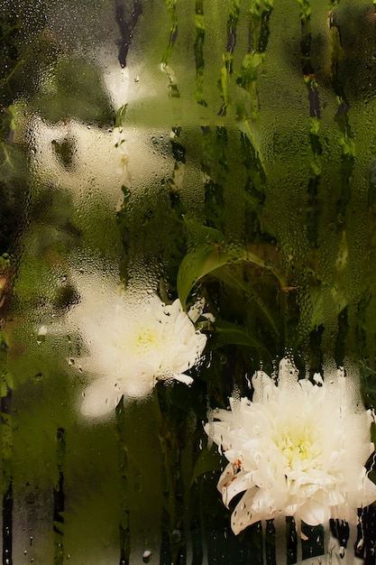 Flowers behind humidity glass