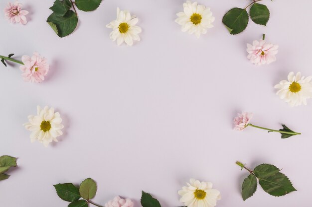 Flowers and leaves on lilac background