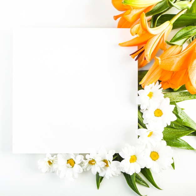 Flowers and leaves near paper sheet